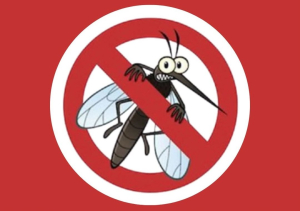 A Prefeitura Municipal convida toda a população para participar do Mutirão Comunitário de combate a DENGUE que acontecerá nesta sexta-feira, dia 28 de novembro