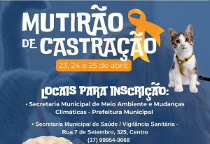 Inscrições abertas para castração gratuita