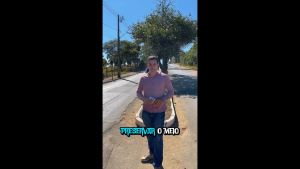 Queimadas em lotes são crime